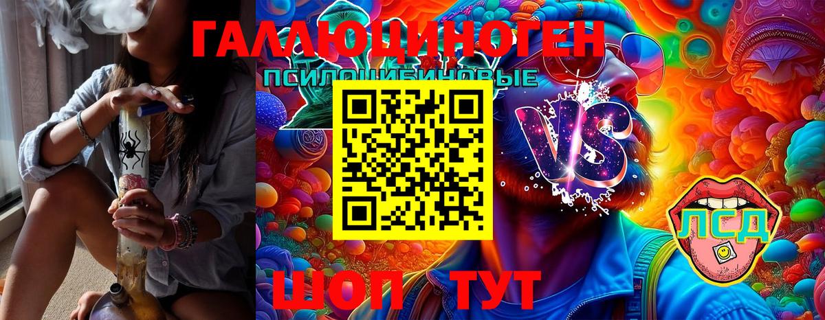 Псилоцибиновые грибы Cubensis  где купить наркоту  Елабуга  Вход с VPN 
