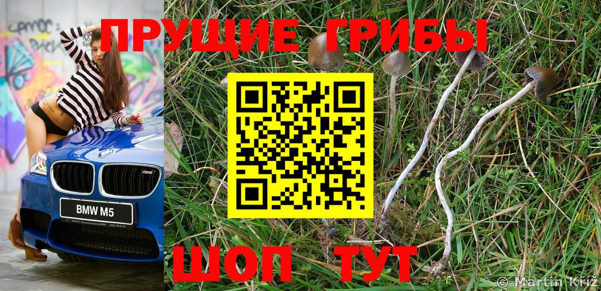 Псилоцибиновые грибы мухоморы Елабуга